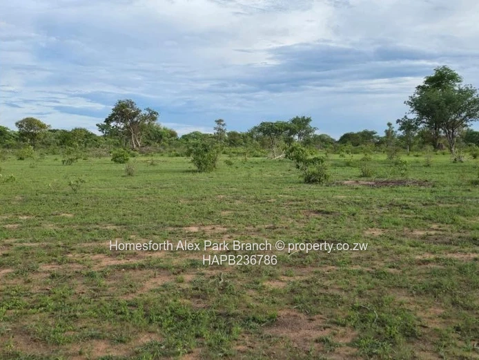 Kadoma Clonmoran Agro-Residential  or Commercial Plots