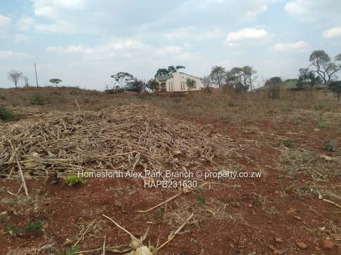 Banket Low Density Stand On Sale