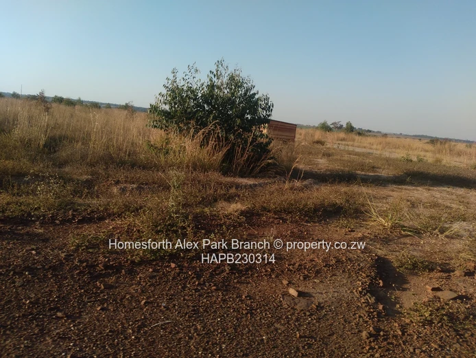 Nyabira Lunar Estates Stands on Sale