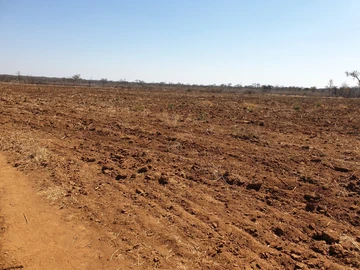 Farm & Agricultural Land