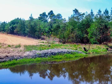 Stands & Residential Land