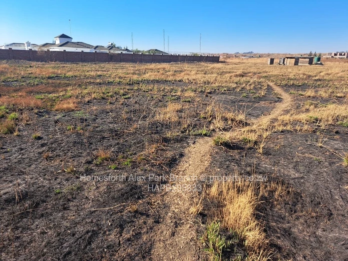 Ready to build stand …