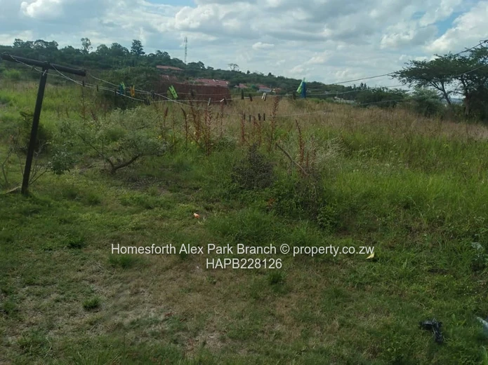 Rydale Ridge Stand On Sale