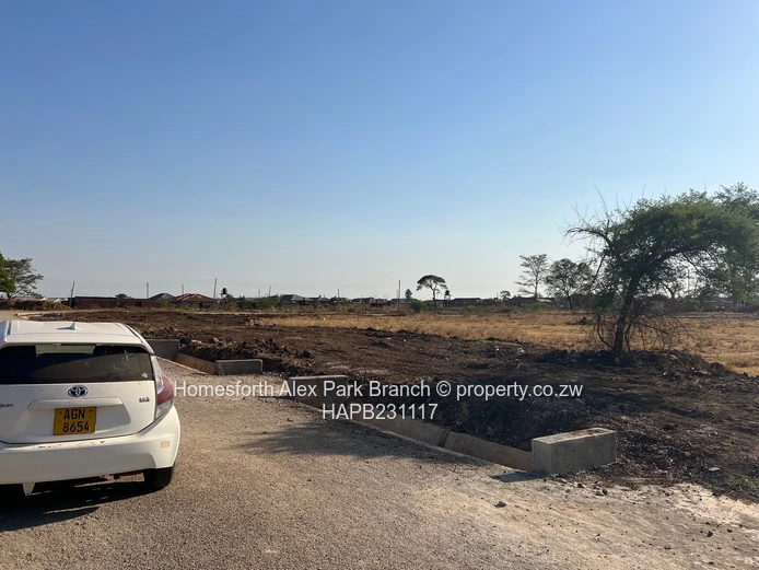 Whitecliff stand for sale