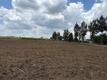 Farm & Agricultural Land