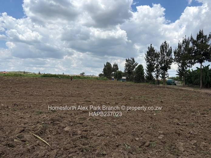 Rare Gem in Rainham Agro Plots residential