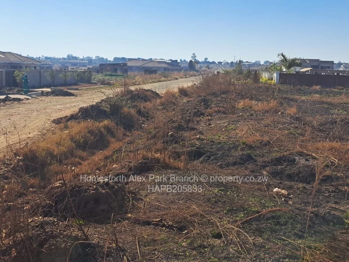 Ready to build stand …