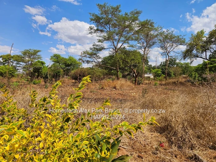 Kwekwe stand for sale