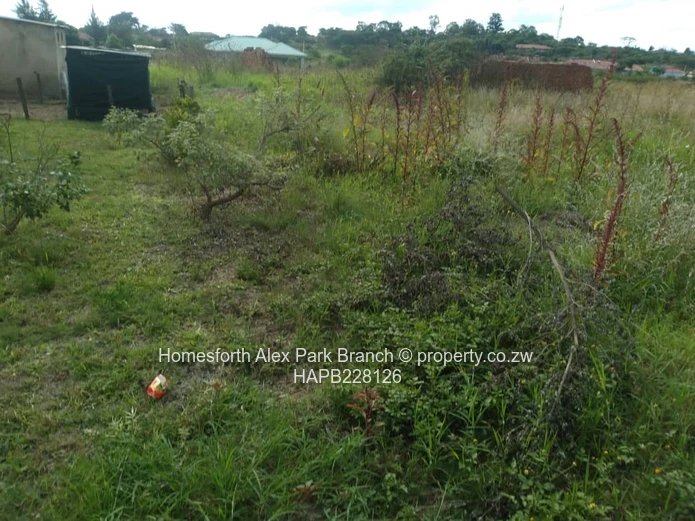 Rydale Ridge Stand On Sale