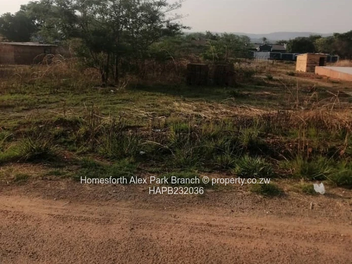 Mzari Extension Stand On Sale (Sole Mandate)