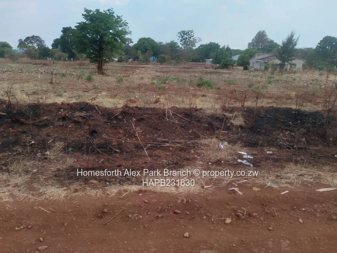 Banket Low Density Stand On Sale