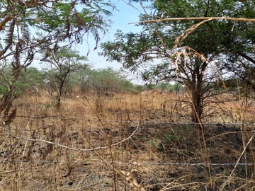 Commercial & Industrial Land