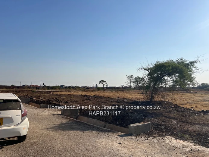 Whitecliff stand for sale