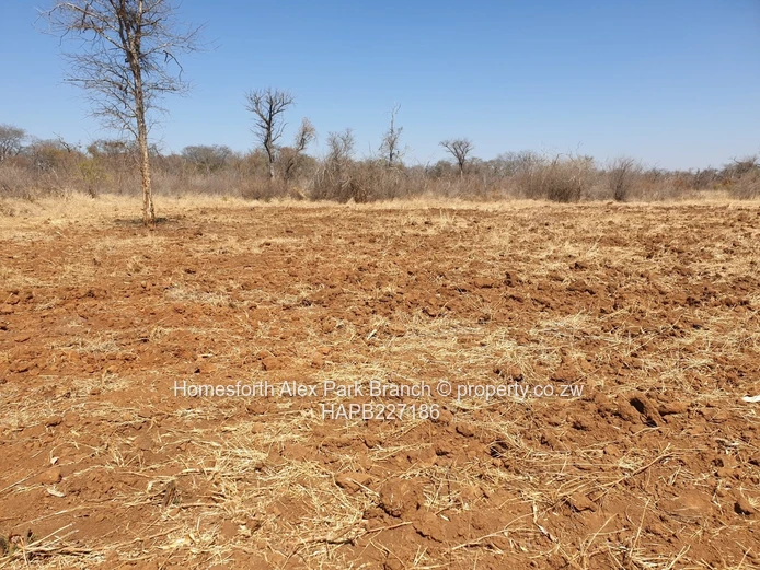 Darwendale Plots For Sale