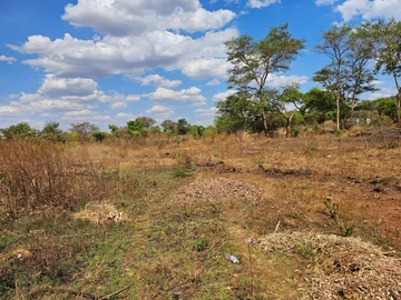 Stands & Residential Land