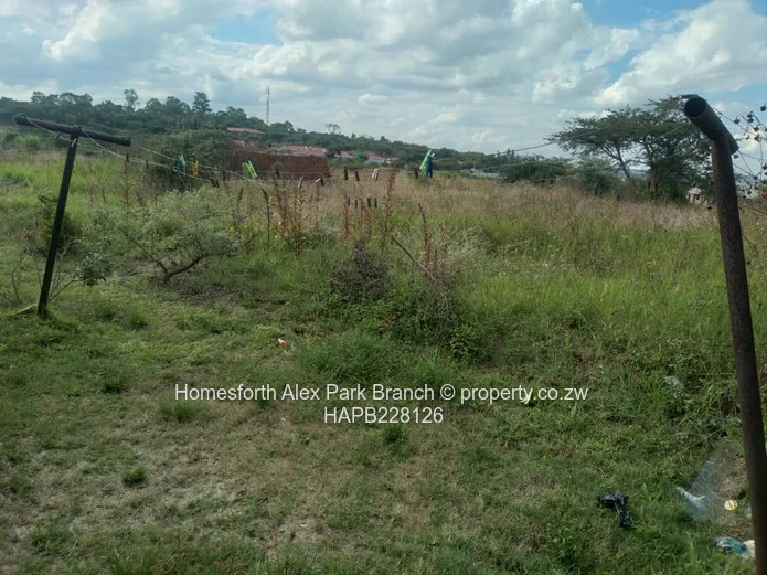 Rydale Ridge Stand On Sale