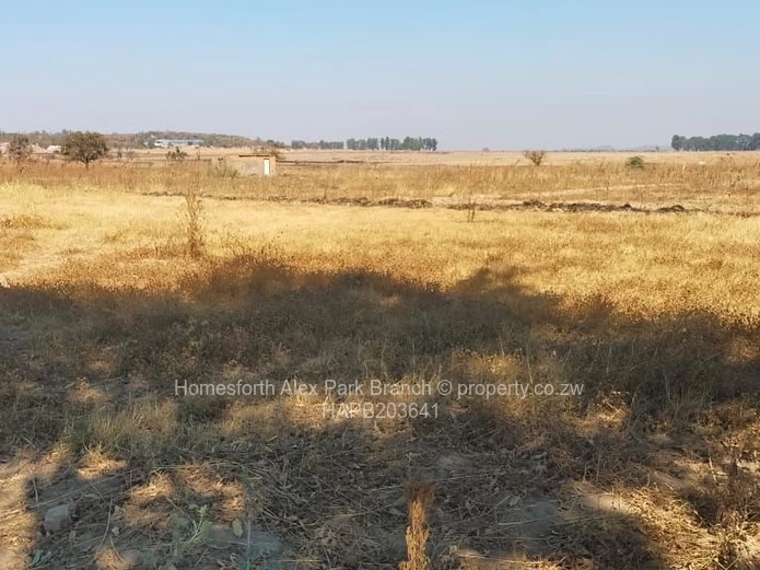 An investor’s delight ….