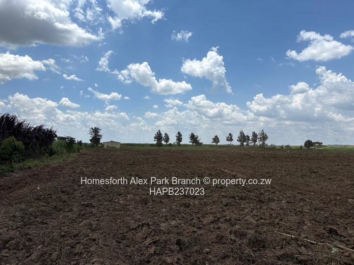 Rare Gem in Rainham Agro Plots residential