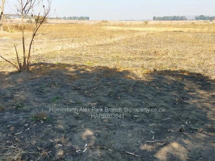 An investor’s delight ….