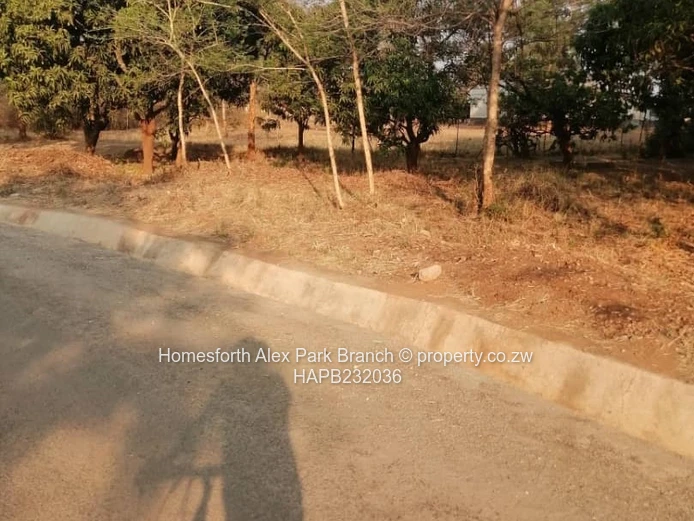 Mzari Extension Stand On Sale (Sole Mandate)