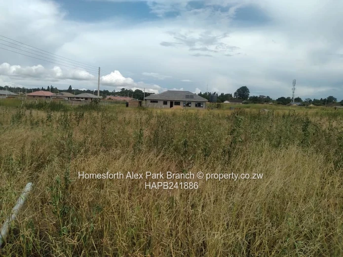 New Marimba Stand On Sale