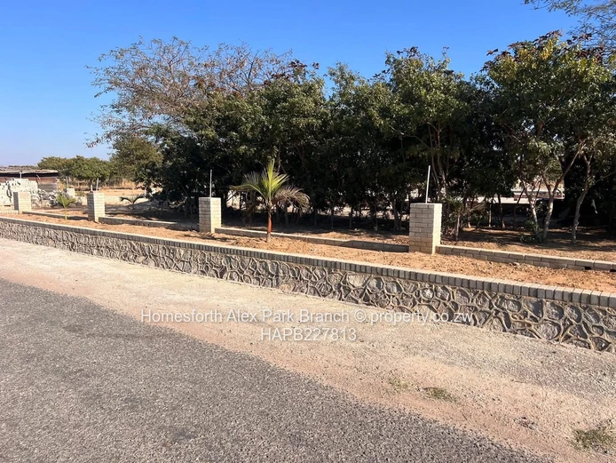 Arlington Estate Stand 