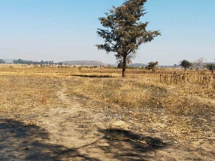 An investor’s delight ….