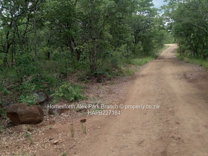 Darwendale Stand For Sale