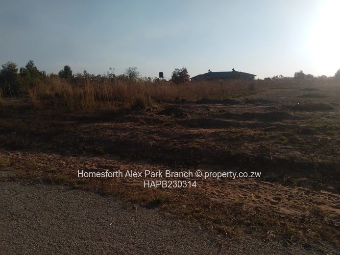 Nyabira Lunar Estates Stands on Sale