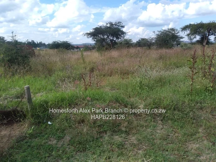 Rydale Ridge Stand On Sale