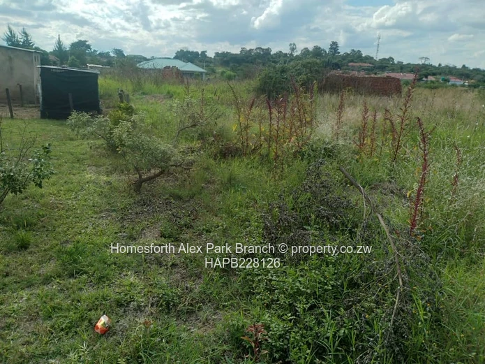 Rydale Ridge Stand On Sale