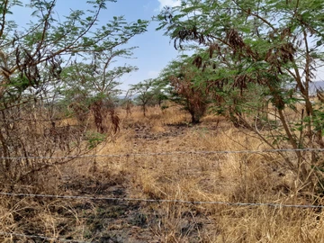 Commercial & Industrial Land