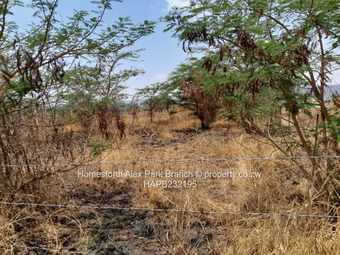 Prime land in Mashuma  (Sole Mandate)