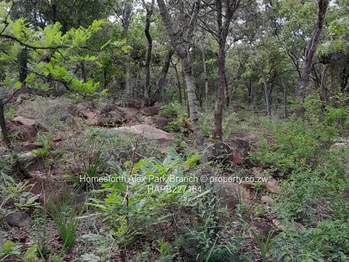 Darwendale Stand For Sale