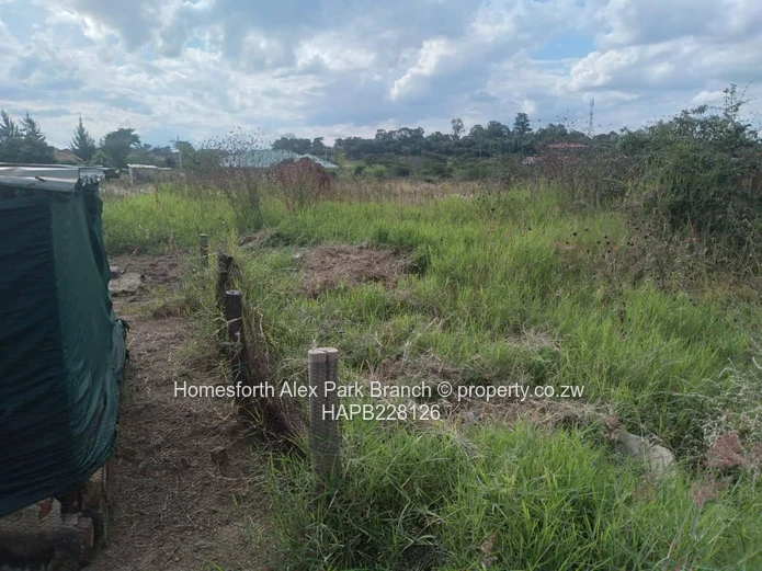 Rydale Ridge Stand On Sale