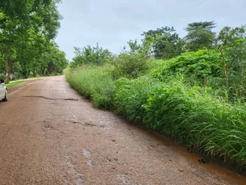 Stands & Residential Land