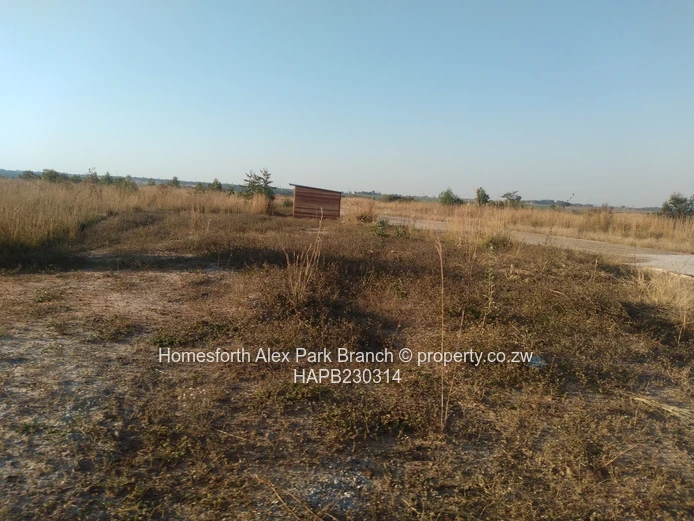 Nyabira Lunar Estates Stands on Sale