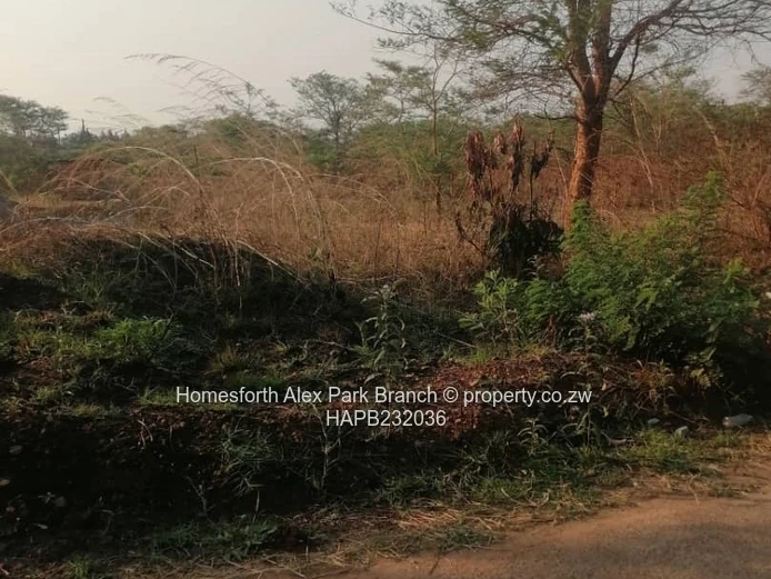 Mzari Extension Stand On Sale (Sole Mandate)