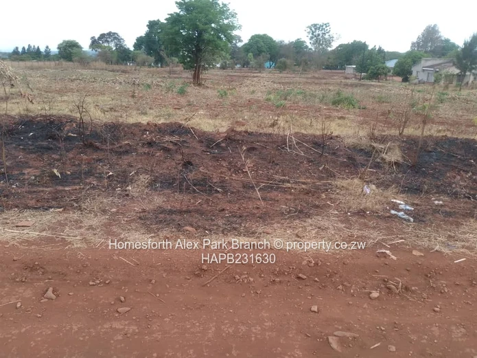 Banket Low Density Stand On Sale