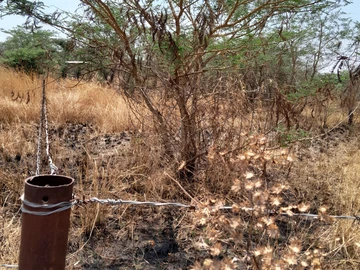 Commercial & Industrial Land