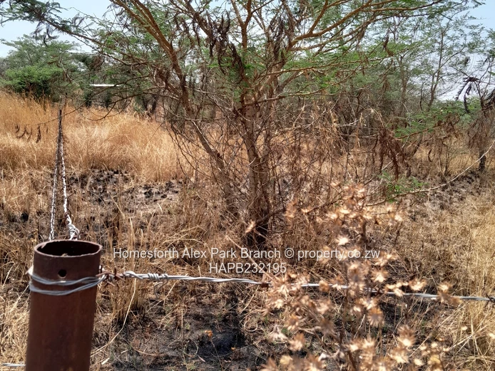 Prime land in Mashuma  (Sole Mandate)