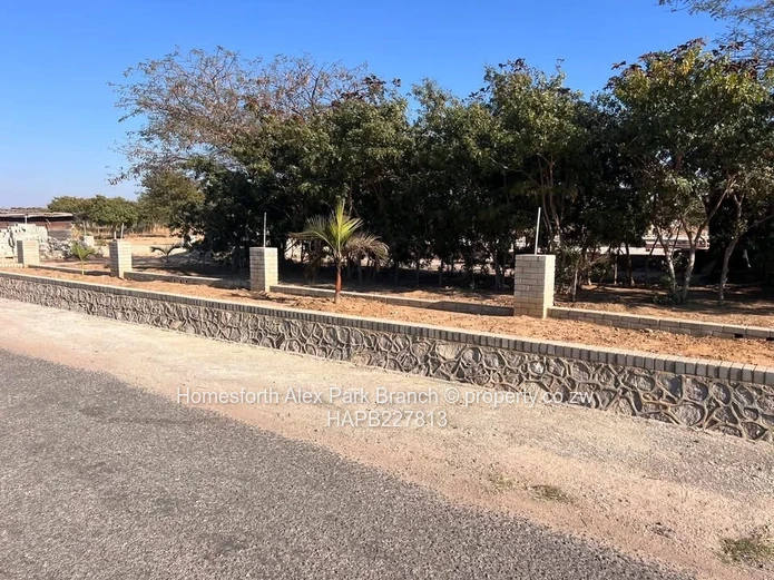 Arlington Estate Stand 