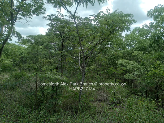 Darwendale Stand For Sale