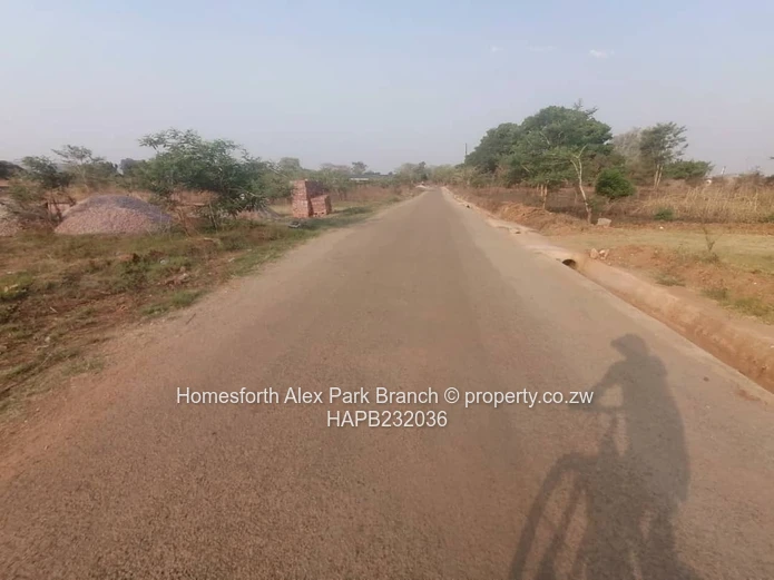 Mzari Extension Stand On Sale (Sole Mandate)