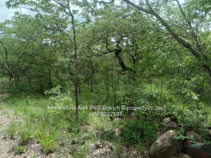 Darwendale Stand For Sale