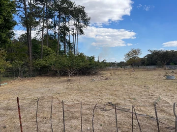 Farm & Agricultural Land