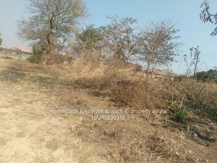 Hertfordshire Stand for Sale