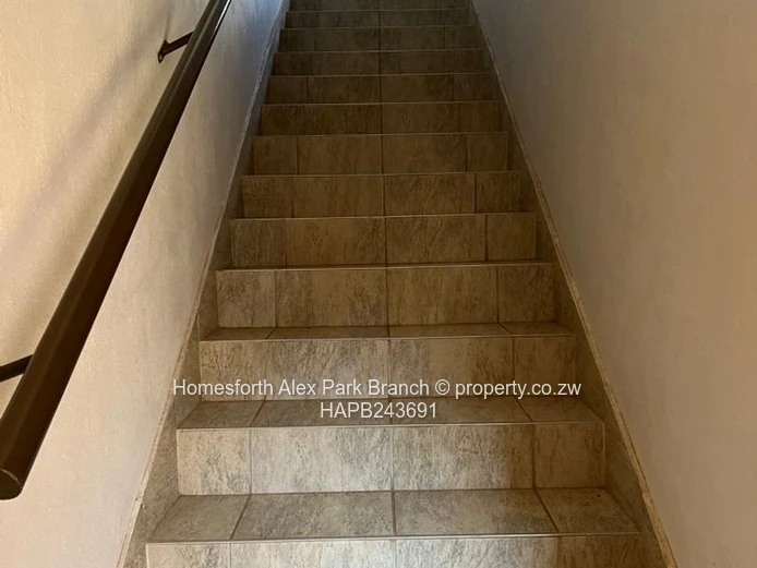 Immediate  occupation....