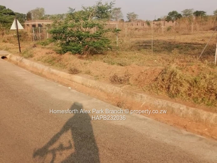 Mzari Extension Stand On Sale (Sole Mandate)