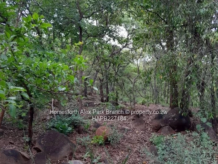 Darwendale Stand For Sale